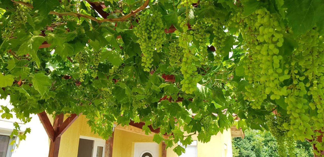 Pataki House Daire Mórahalom Dış mekan fotoğraf